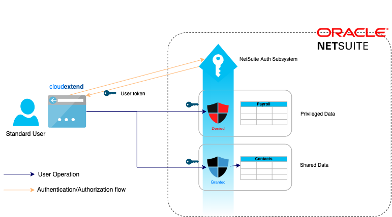 netsuite security RBAC