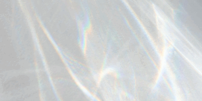 Reflecting2025&LookingAhead026_BlogFeatureImage