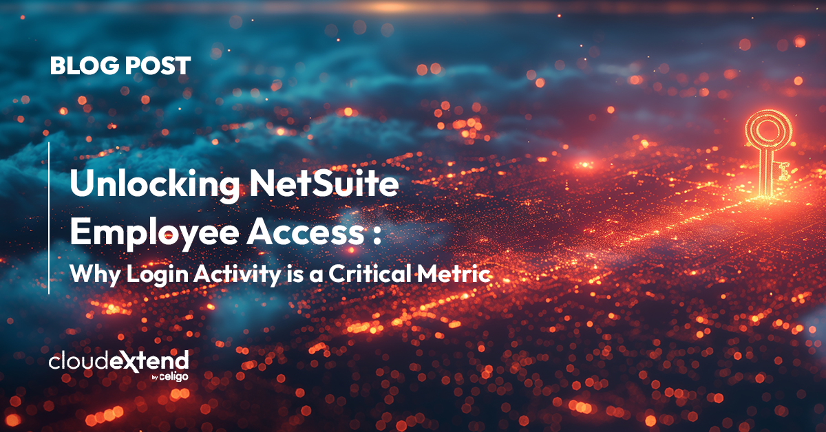Unlocking NetSuite Employee Access Insights: Why Login Activity is a ...